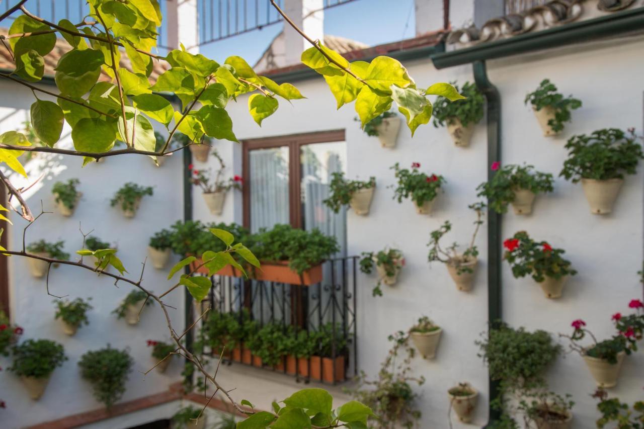 La Sultana Apartamentos Córdoba Exterior foto